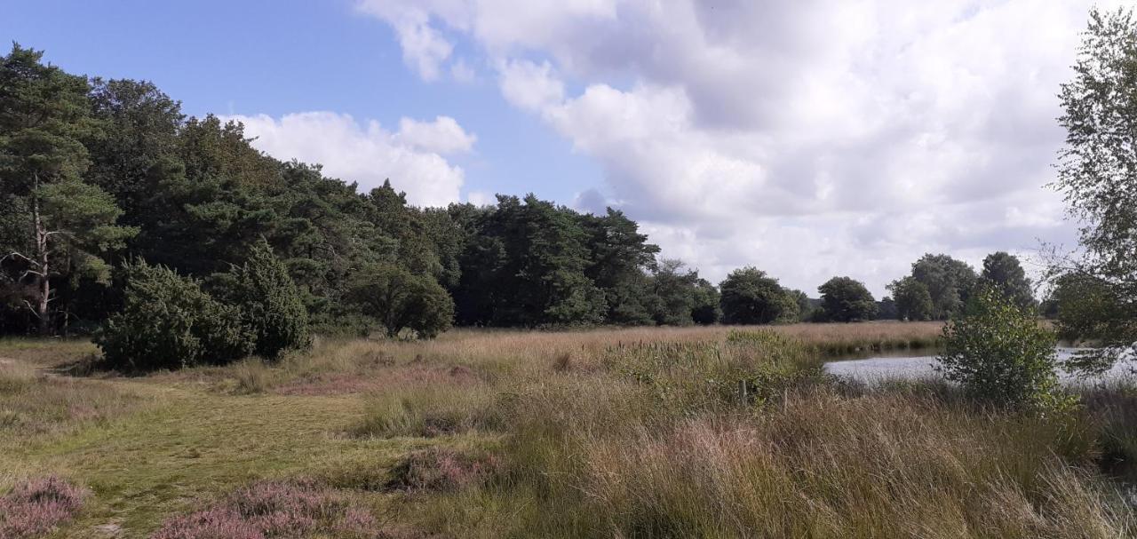 Drentse Bungalow In Natuur En Rust Spier Eksteriør bilde